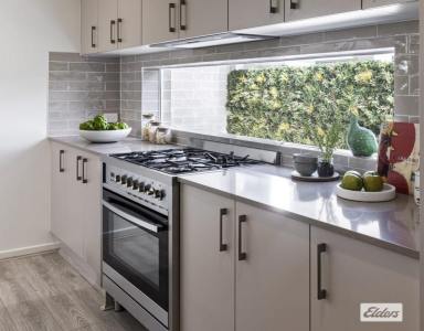 House For Lease - NSW - Wongawilli - 2530 - Brand New Ex-Display Home – Luxury Living in Wongawilli  (Image 2)