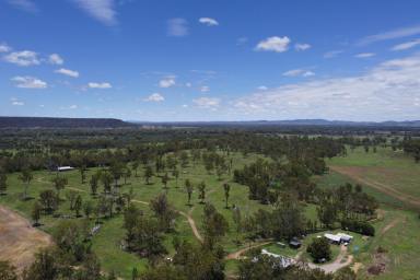 Mixed Farming For Sale - QLD - Dixalea - 4702 - Don River Irrigation and Grazing  (Image 2)