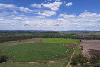 Mixed Farming For Sale - QLD - Dixalea - 4702 - Don River Irrigation and Grazing  (Image 2)