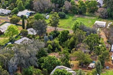 Residential Block For Sale - WA - Balingup - 6253 - The Balingup Life: A Community in Harmony  (Image 2)