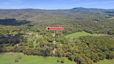Acreage/Semi-rural For Sale - QLD - Wondecla - 4887 - Where Modern Design Meets Natural Beauty  (Image 2)