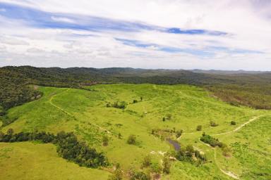 Other (Rural) Auction - QLD - Yarrol - 4630 - Burnett River Breeding  (Image 2)
