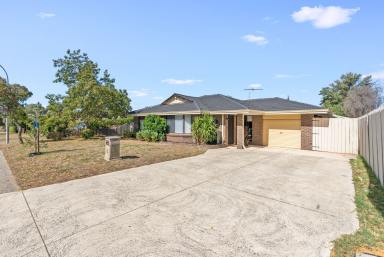 House For Sale - WA - Beechboro - 6063 - This practical and conveniently located property should not be missed. (Image 2)