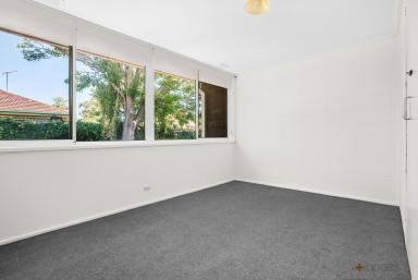 House For Lease - VIC - Chelsea Heights - 3196 - FRESHLY PAINTED THROUGHOUT l BRAND NEW CARPET THROUGHOUT l LARGE PRIVATE COURTYARD  (Image 2)