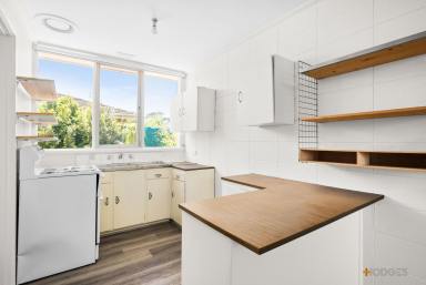 House For Lease - VIC - Chelsea Heights - 3196 - FRESHLY PAINTED THROUGHOUT l BRAND NEW CARPET THROUGHOUT l LARGE PRIVATE COURTYARD  (Image 2)