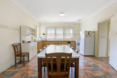 House For Lease - VIC - Apollo Bay - 3233 - Apollo Bay Getaway  (Image 2)
