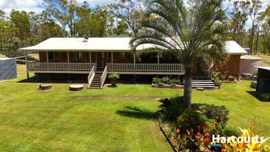 House For Sale - QLD - Apple Tree Creek - 4660 - 5 ACRE LIFESTYLE RETREAT  (Image 2)