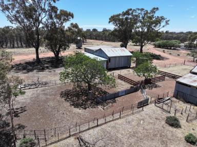 Other (Rural) For Sale - NSW - Alleena - 2671 - Genuine 'tree change' opportunity  (Image 2)