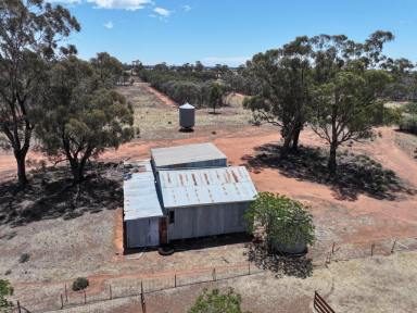 Other (Rural) For Sale - NSW - Alleena - 2671 - Genuine 'tree change' opportunity  (Image 2)