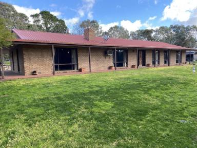House Leased - VIC - Cavendish - 3314 - *Under Application* Large Farmhouse only 6km from Cavendish (Image 2)
