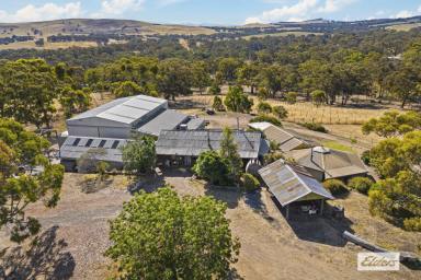Lifestyle For Sale - VIC - Cathcart - 3377 - Hidden Hillside Retreat with Exceptional Infrastructure – 15 Acres  (Image 2)