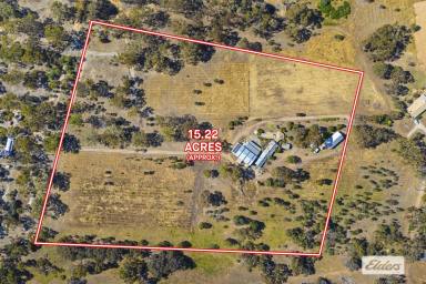 Lifestyle For Sale - VIC - Cathcart - 3377 - Hidden Hillside Retreat with Exceptional Infrastructure – 15 Acres  (Image 2)