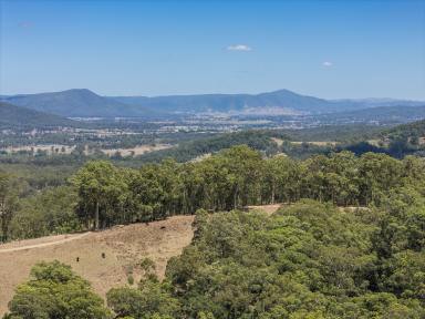 Lifestyle For Sale - NSW - Martins Creek - 2420 - Unplug, Unwind & Explore (Image 2)