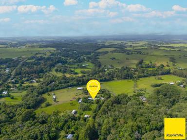 House Auction - QLD - Lake Eacham - 4884 - Elevated Lifestyle Acreage with Dual Living Potential near Lake Eacham  (Image 2)