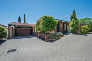 Villa For Lease - WA - Como - 6152 - IMMACULATE VILLA  (Image 2)