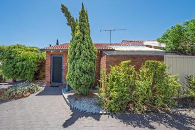 Villa For Lease - WA - Como - 6152 - IMMACULATE VILLA  (Image 2)