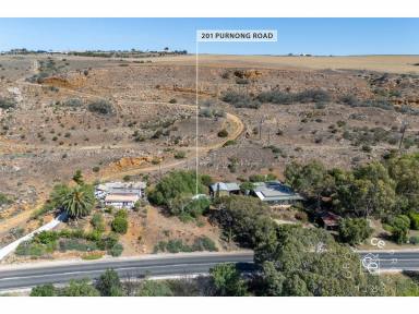 Residential Block For Sale - SA - Mannum - 5238 - A quaint tin shack overlooking the River Murray Lagoon  (Image 2)