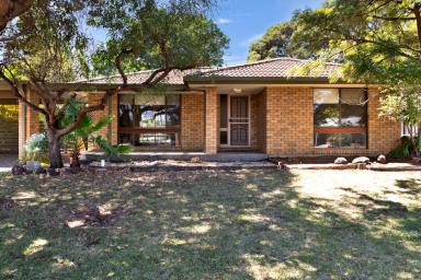 House Sold - VIC - Mildura - 3500 - Your Next Move Starts Here  (Image 2)