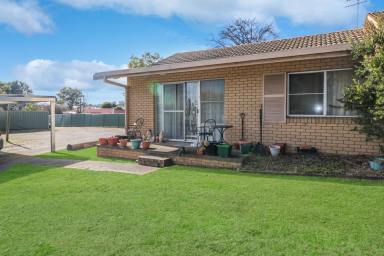 Block of Units Sold - NSW - Glen Innes - 2370 - Solid Investment Opportunity – Three Brick Units  (Image 2)