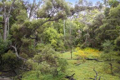 Residential Block For Sale - WA - Peerabeelup - 6260 - STUNNING NATURAL BUSH ACREAGE  (Image 2)