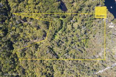 Residential Block For Sale - WA - Peerabeelup - 6260 - STUNNING NATURAL BUSH ACREAGE  (Image 2)