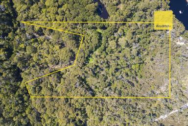 Residential Block For Sale - WA - Peerabeelup - 6260 - STUNNING NATURAL BUSH ACREAGE (Image 2)