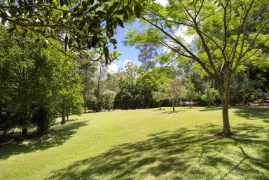House For Sale - QLD - Black Mountain - 4563 - A Private Hinterland Sanctuary  (Image 2)