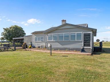 Lifestyle For Sale - TAS - Barrington - 7306 - Agricultural Investment Opportunity  (Image 2)