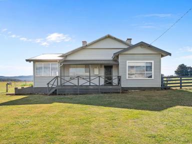 Lifestyle For Sale - TAS - Barrington - 7306 - Agricultural Investment Opportunity  (Image 2)