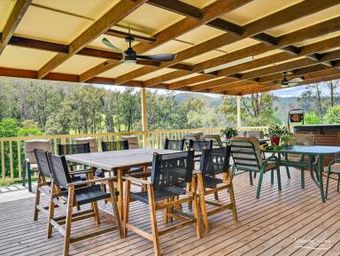 Lifestyle For Sale - NSW - Caparra - 2429 - Perfect Country lifestyle  (Image 2)