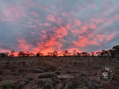 Lifestyle For Sale - SA - Black Hill - 5353 - The perfect off-road, off-grid getaway - with facilities  (Image 2)