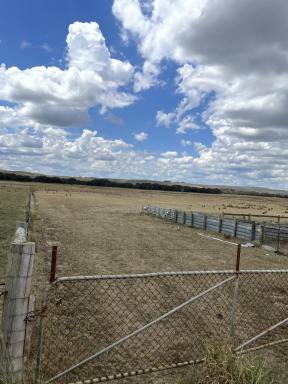 Mixed Farming For Sale - VIC - Henty - 3312 - 230 Acres approx. close to Casterton (Image 2)