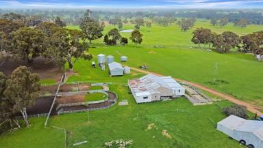 Mixed Farming For Sale - VIC - Vasey - 3407 - Prime Opportunity Offering Reliability and Versatility  (Image 2)