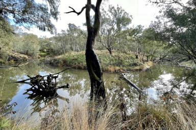 Lifestyle For Sale - VIC - Dartmoor - 3304 - River Frontage (Image 2)