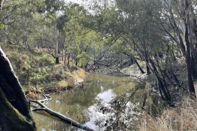 Lifestyle For Sale - VIC - Dartmoor - 3304 - River Frontage (Image 2)