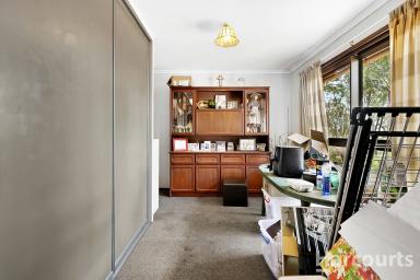 House For Sale - QLD - Isis Central - 4660 - Country Living - 5-Bed 2-Bath Home on Expansive Acreage  (Image 2)