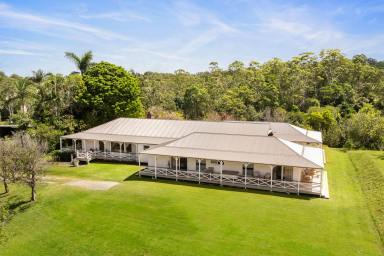 House For Sale - QLD - Verrierdale - 4562 - A Rare Noosa Hinterland Retreat with Approved Development Upside  (Image 2)