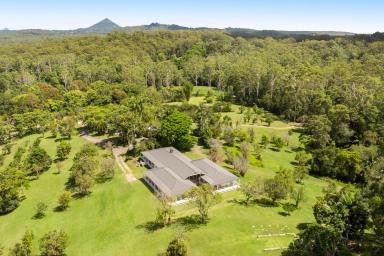 House For Sale - QLD - Verrierdale - 4562 - A Rare Noosa Hinterland Retreat with Approved Development Upside  (Image 2)
