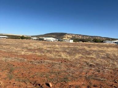 Residential Block For Sale - WA - York - 6302 - FIRST TIME OFFERED  (Image 2)