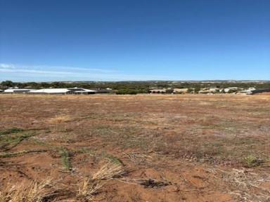 Residential Block For Sale - WA - York - 6302 - FIRST TIME OFFERED  (Image 2)