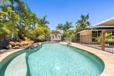 House For Sale - QLD - Buderim - 4556 - Family Living, Poolside Entertaining, and Space for the Toys (Image 2)