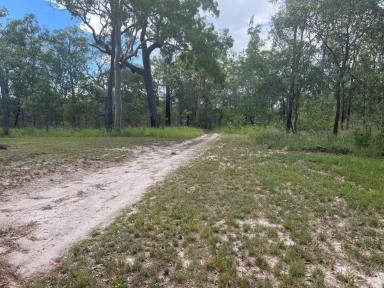 Residential Block For Sale - QLD - Mount Urah - 4650 - 310 Acres (124.5ha) of Private Rural Living (Image 2)