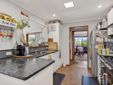 Acreage/Semi-rural For Sale - NSW - Burrell Creek - 2429 - A RURAL ESCAPE WHERE LUNCH RUNS INTO DINNER  (Image 2)