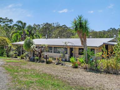 Acreage/Semi-rural For Sale - NSW - Burrell Creek - 2429 - A RURAL ESCAPE WHERE LUNCH RUNS INTO DINNER  (Image 2)