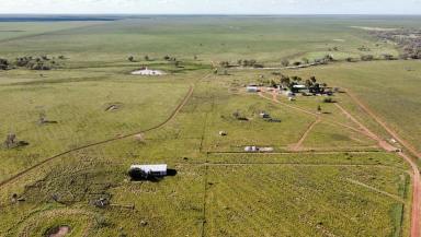 Mixed Farming For Sale - QLD - Barcaldine - 4725 - SALTERN CREEK: A Rural Asset With Real Performance  (Image 2)