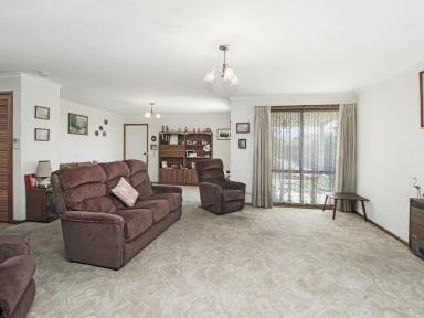 Unit For Sale - VIC - Bairnsdale - 3875 - DOWNTOWN UNIT WITH RARE EXTRAS  (Image 2)