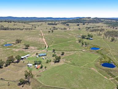 Livestock For Sale - QLD - Inglewood - 4387 - “Langley” 3167 Stanthorpe Inglewood Road, Inglewood QLD 4387  (Image 2)