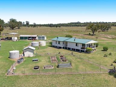 Livestock For Sale - QLD - Inglewood - 4387 - “Langley” 3167 Stanthorpe Inglewood Road Warroo QLD 4387  (Image 2)