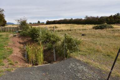 Residential Block For Sale - TAS - Exton - 7303 - Lot 2 Robert Street  (Image 2)