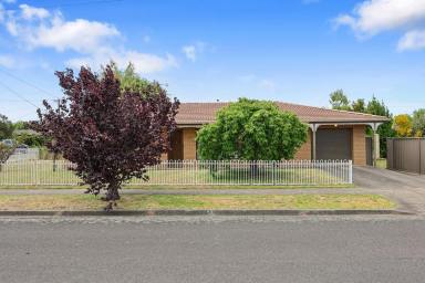 House For Sale - VIC - Hamilton - 3300 - Low-maintenance brick home (Image 2)
